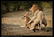 Kenya 2016